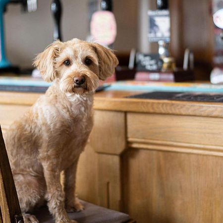 Masons Arms Amble Bed & Breakfast Bagian luar foto