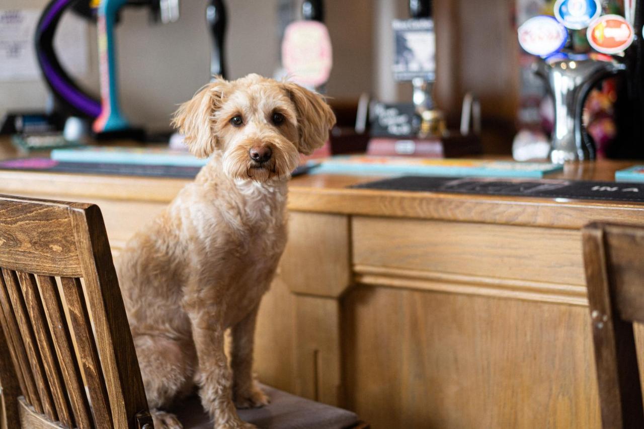Masons Arms Amble Bed & Breakfast Bagian luar foto